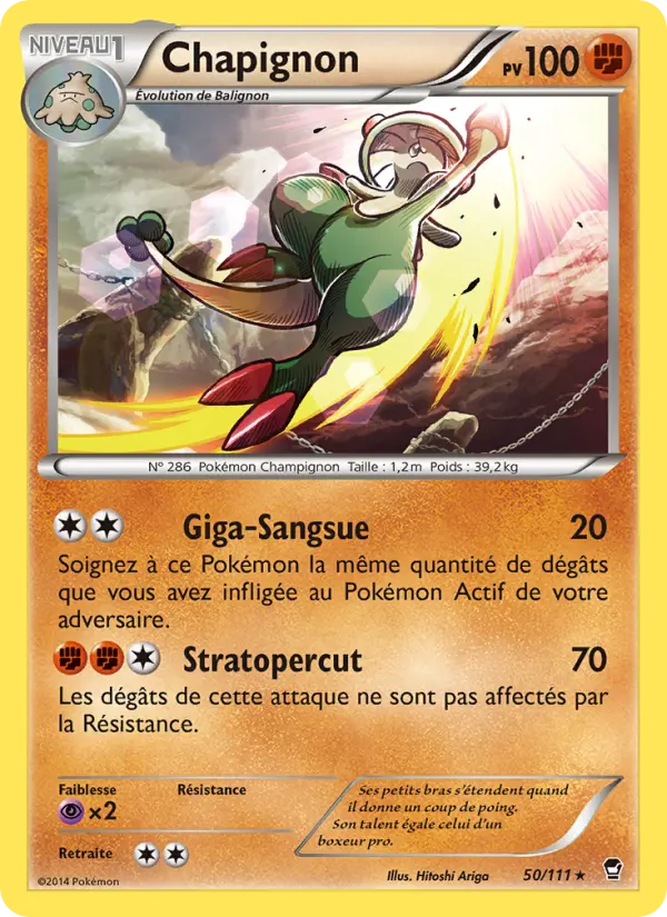 Chapignon #50