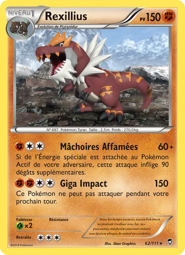 Rexillius #62