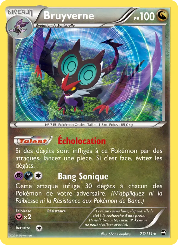 Bruyverne #77