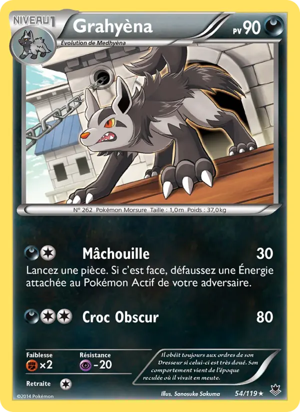 Grahyèna de la Team Aqua #54