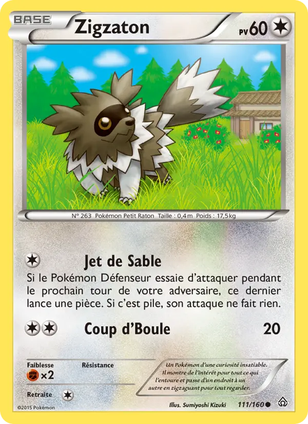 Zigzagoon #111
