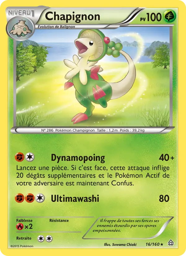 Chapignon #16