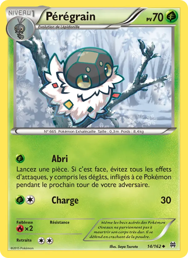 Pérégrain #14