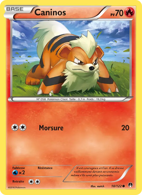 Growlithe #10