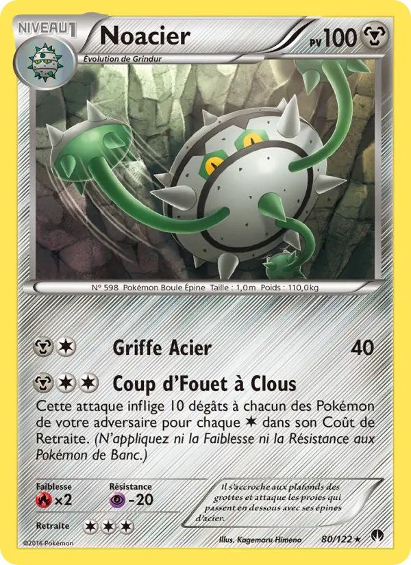 Noacier #80