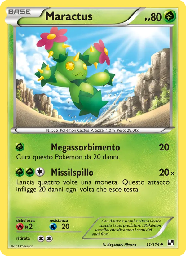 Maractus #11