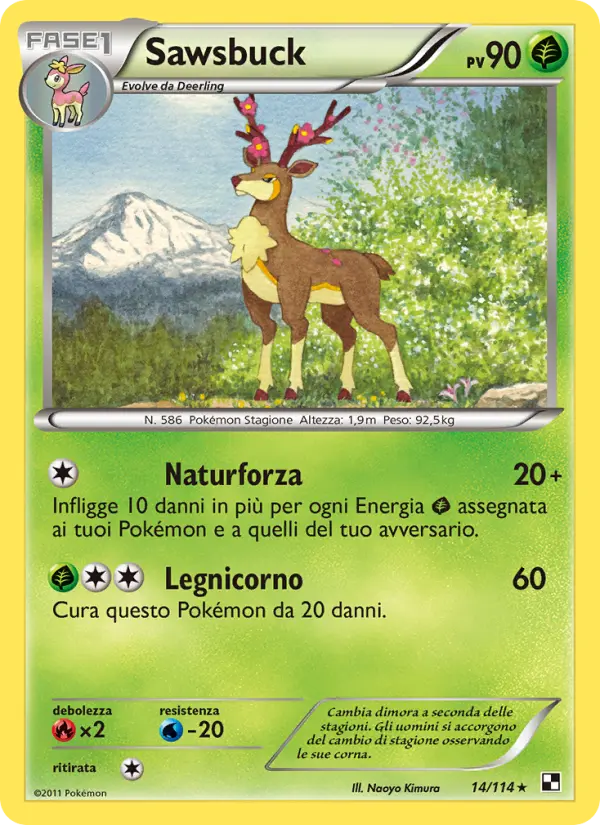 Sawsbuck #14