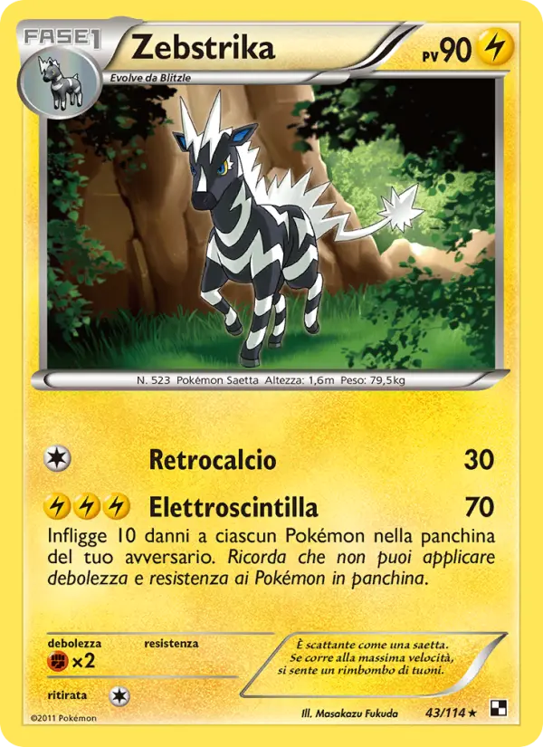 Zebstrika #43
