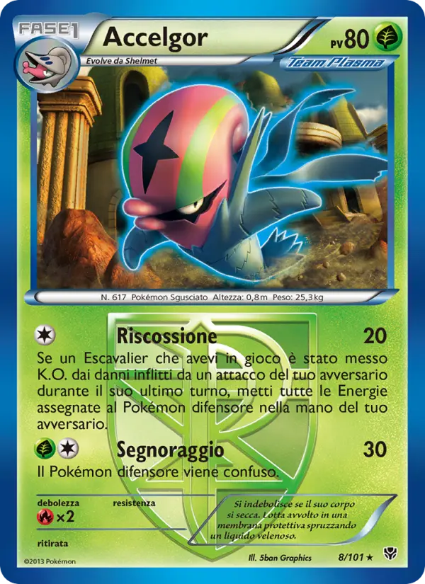 Accelgor #8