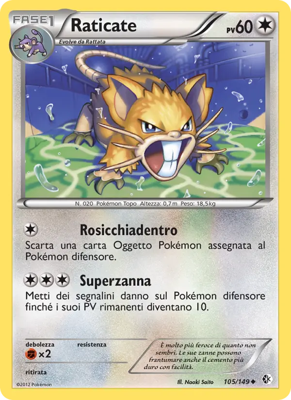 Raticate #105