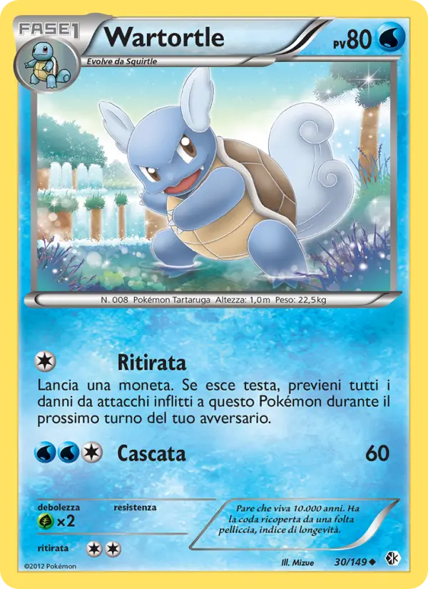 Wartortle #30