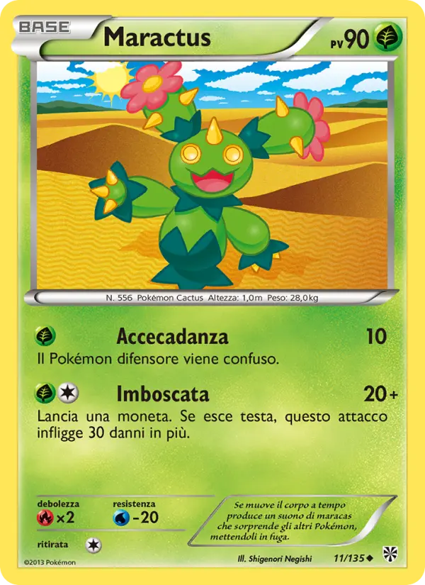 Maractus #11