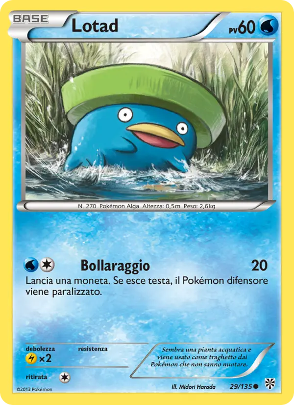 Lotad #29