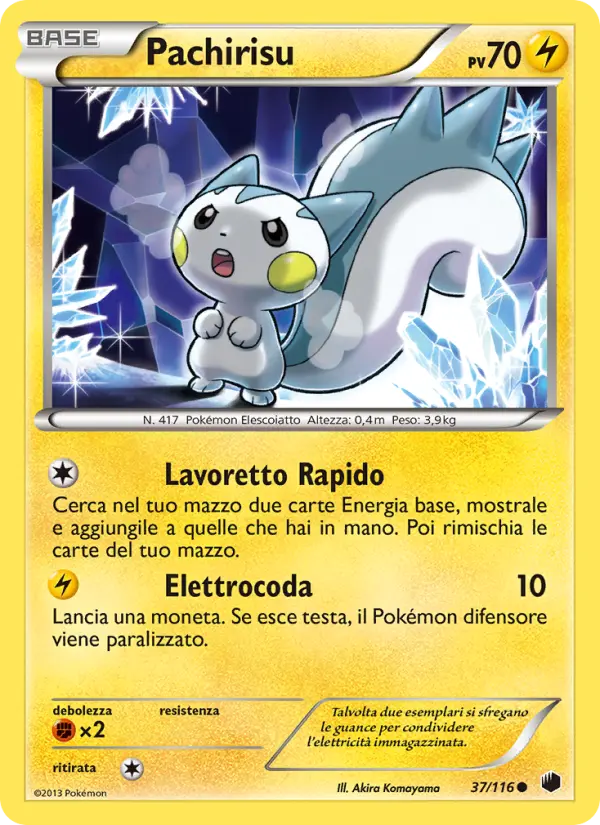 Pachirisu #37