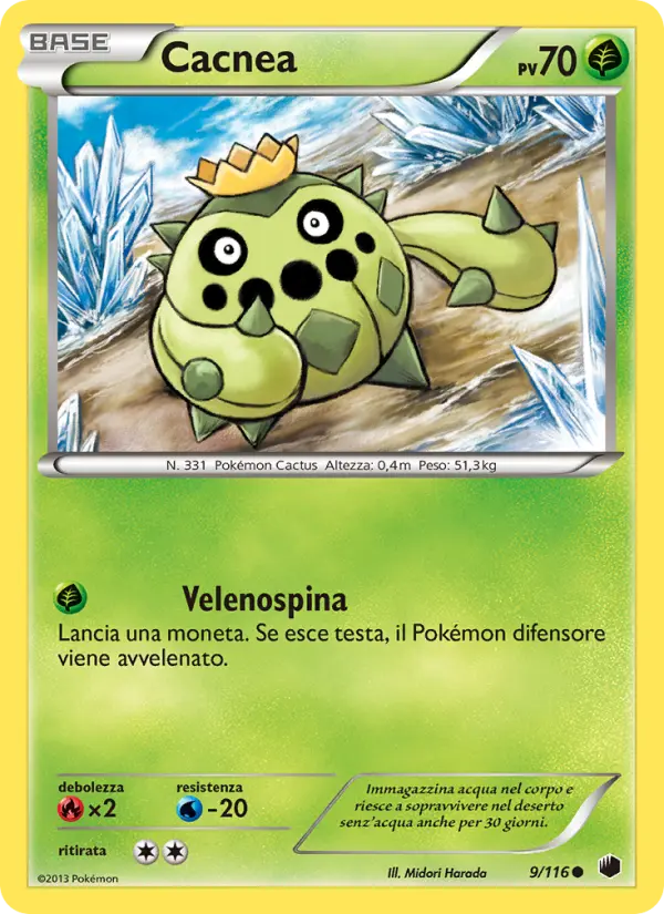 Cacnea #9