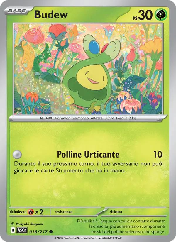 Budew #016
