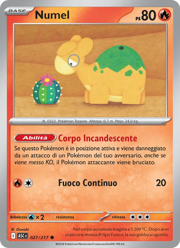 Numel #027