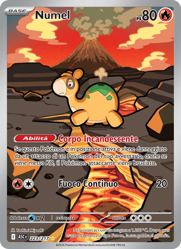 Numel #223