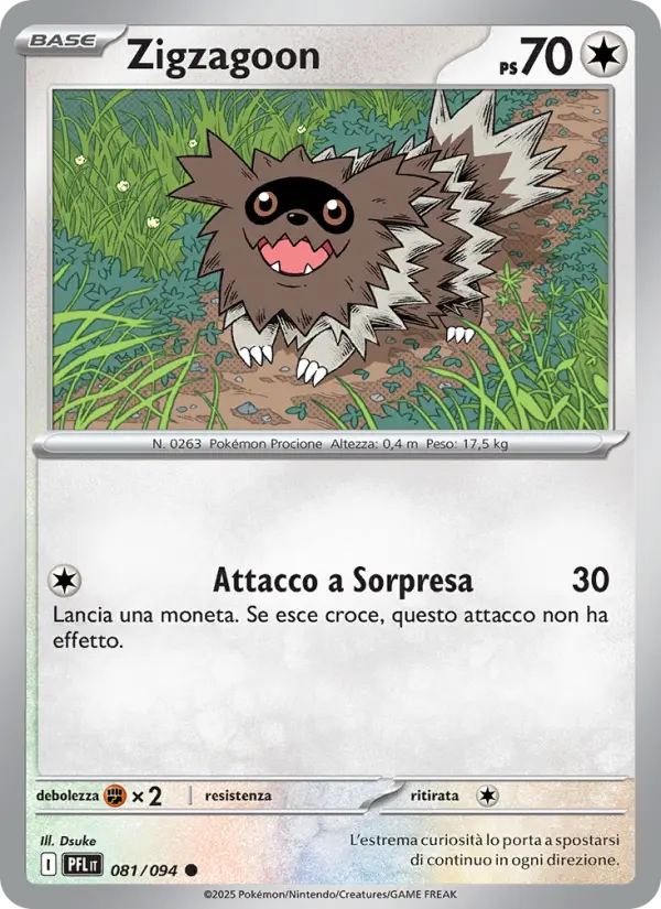 Zigzagoon #081
