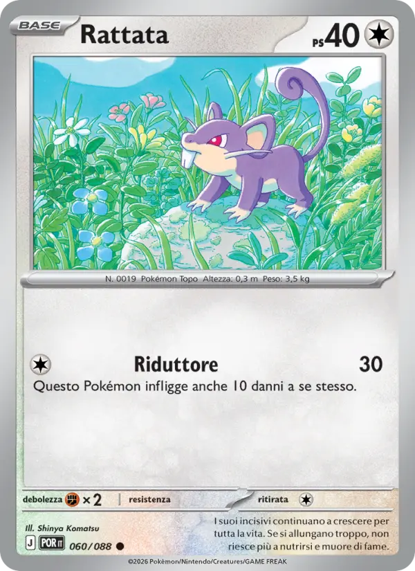 Rattata #060
