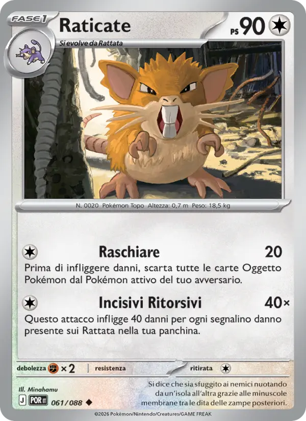 Raticate #061