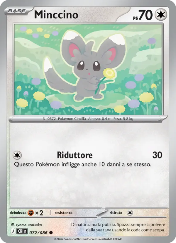 Minccino #072