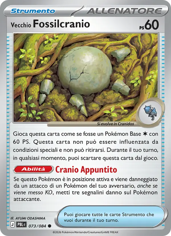 Vecchio Fossilcranio #073