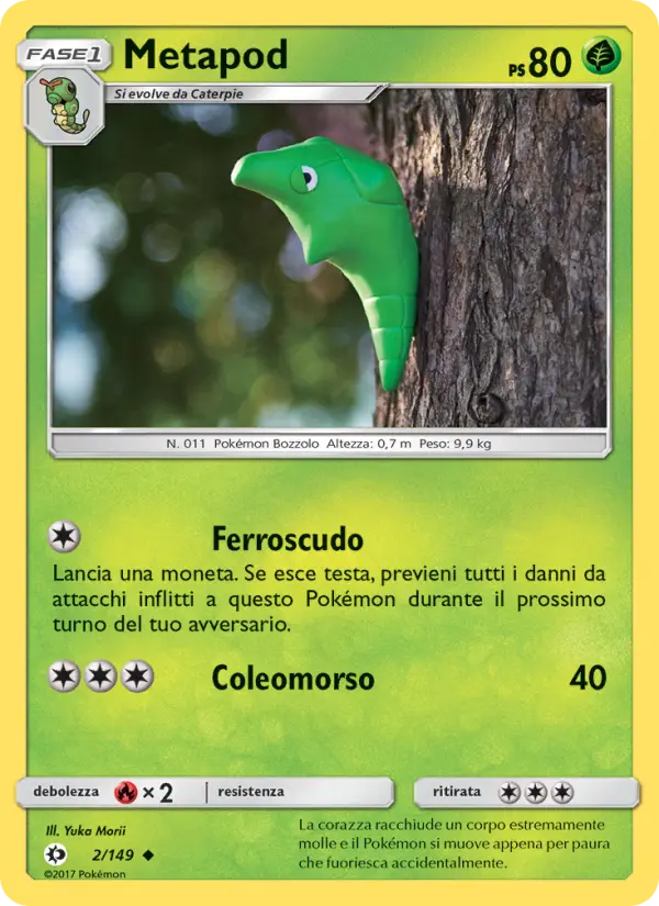 Metapod #2