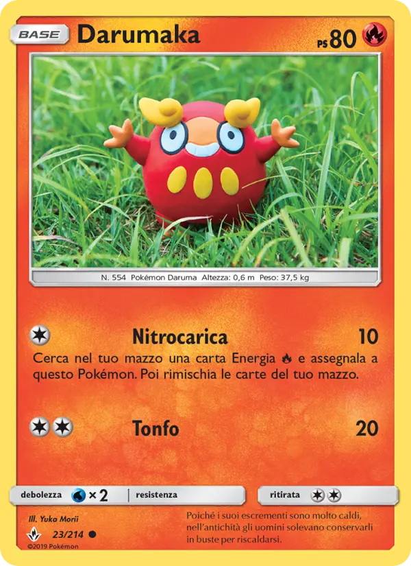 Darumaka #23