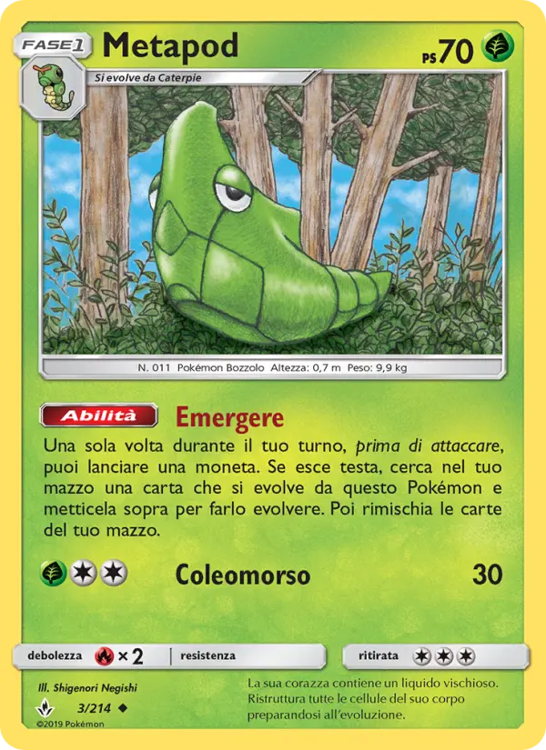 Metapod #3