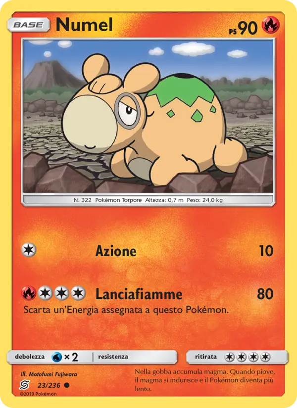 Numel #23
