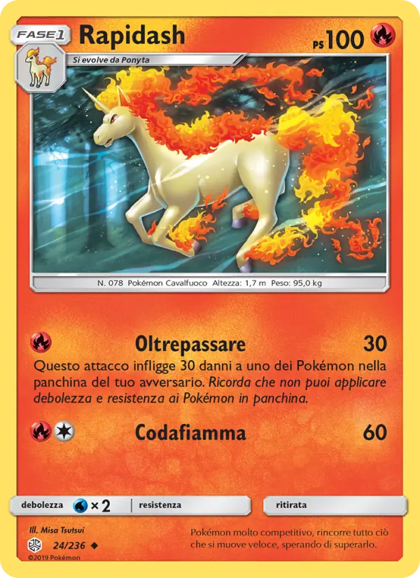 Rapidash #24