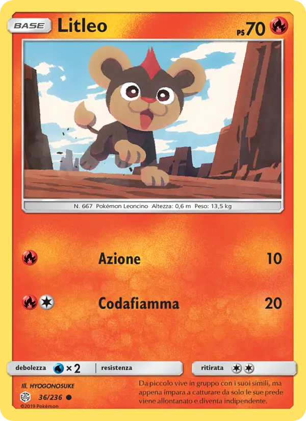 Litleo #36