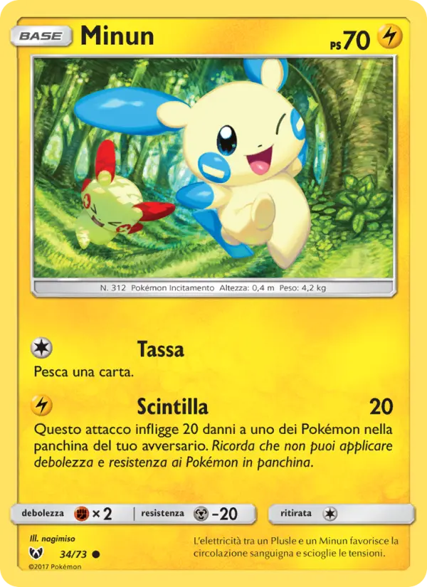 Minun #34