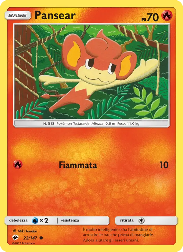 Pansear #22