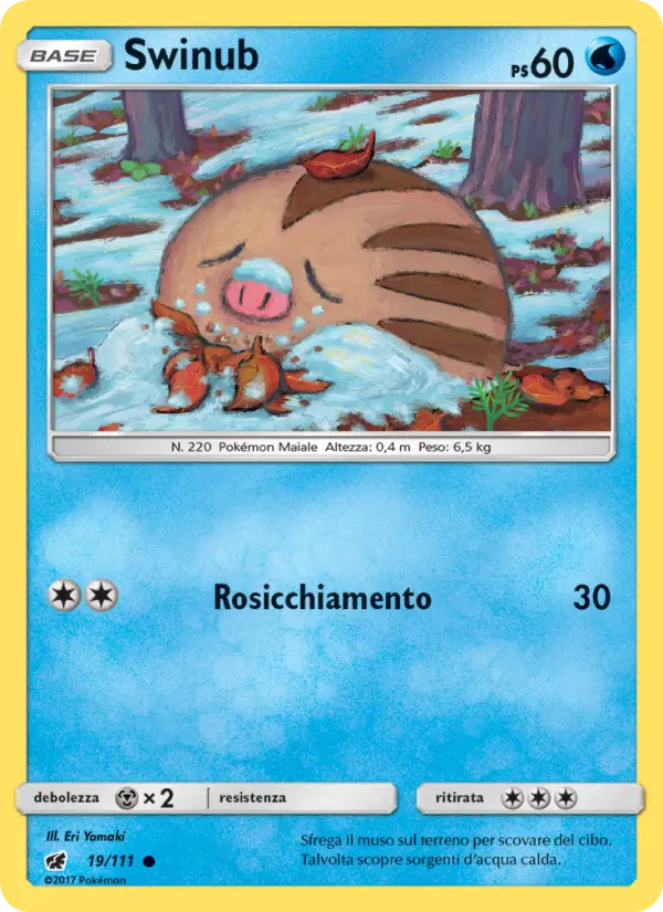 Swinub #19