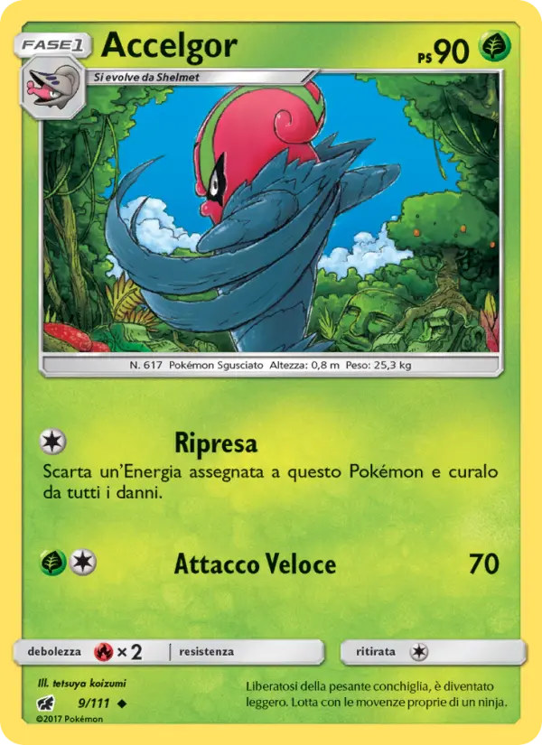 Accelgor #9