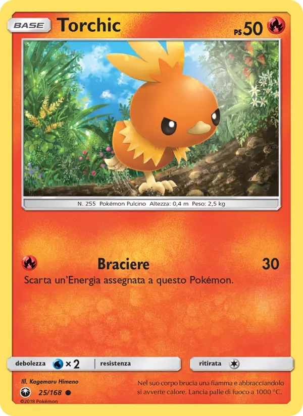 Torchic #25
