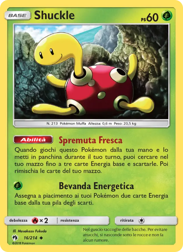 Shuckle #16