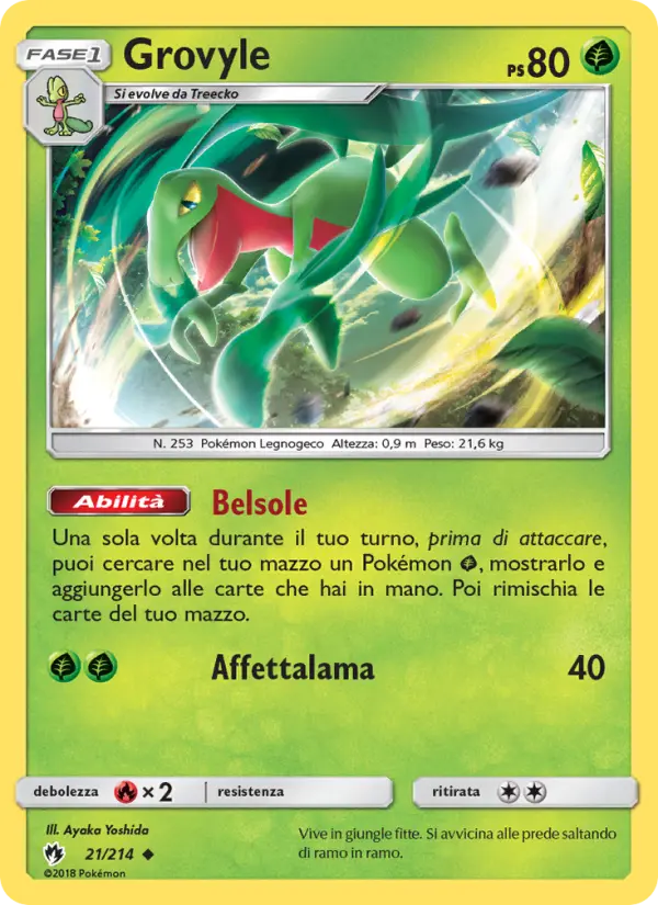 Grovyle #21
