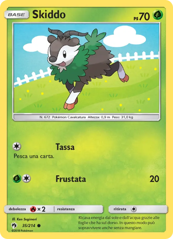 Skiddo #35