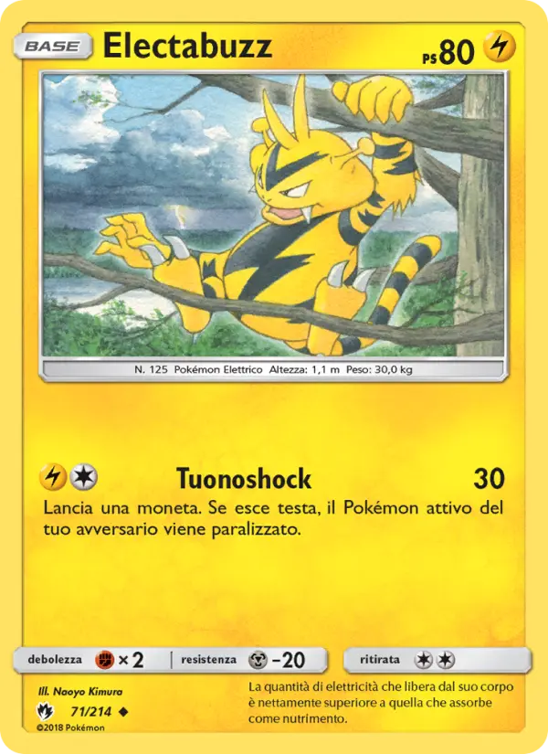 Electabuzz #71