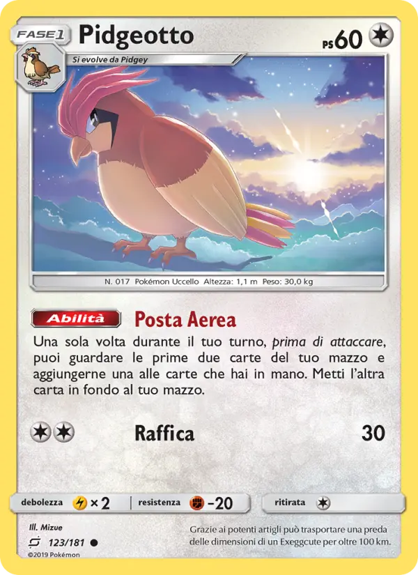 Pidgeotto #123