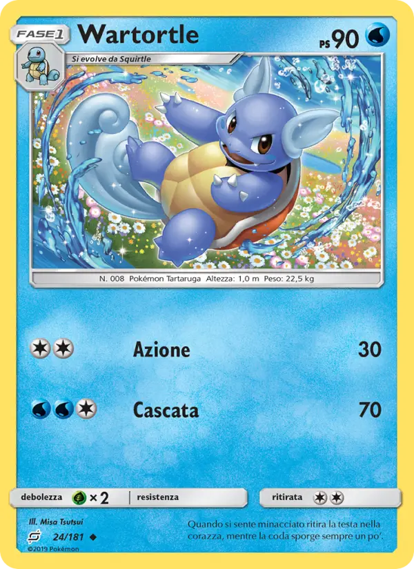 Wartortle #24
