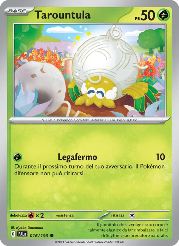 Tarountula #016