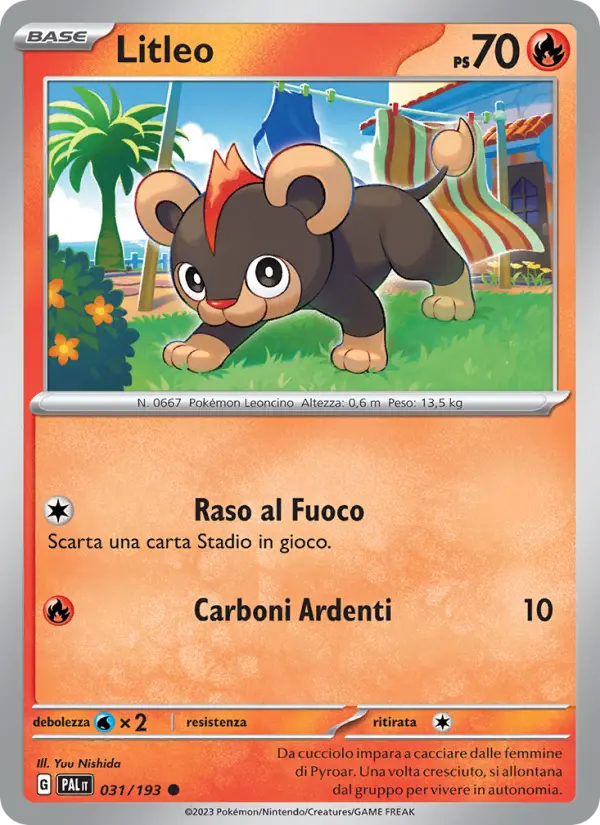 Litleo #031