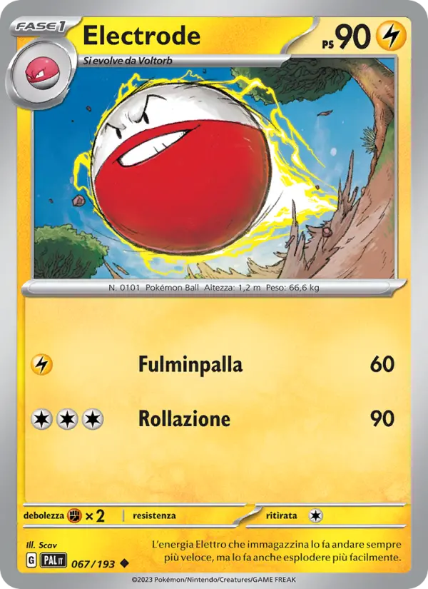 Electrode #067