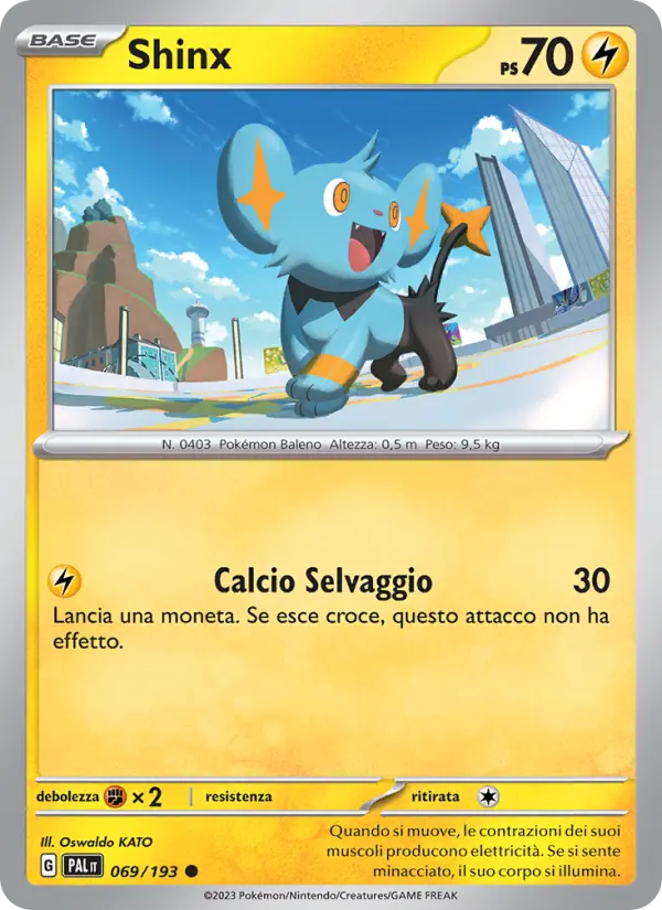 Shinx #069