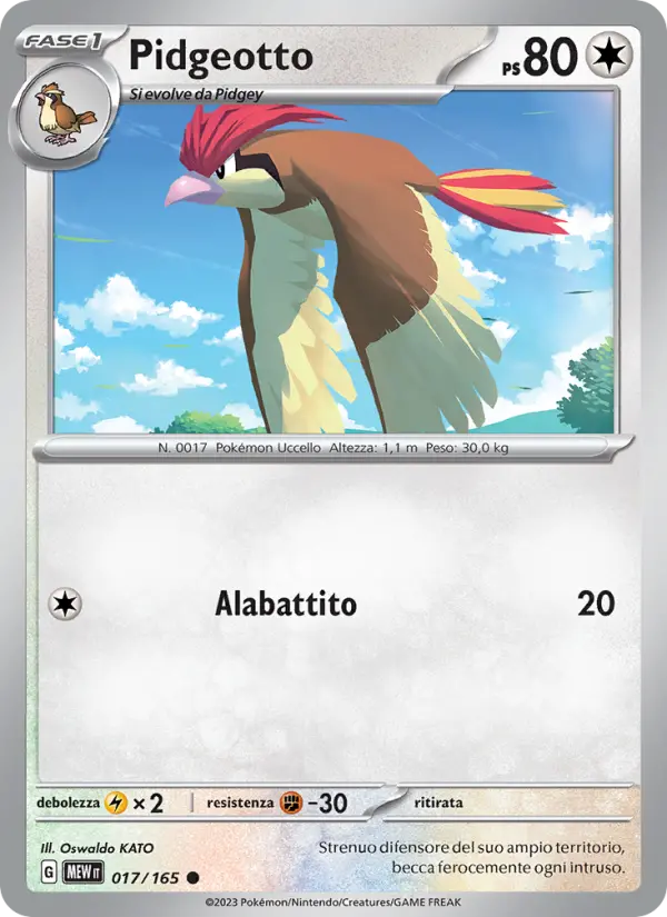 Pidgeotto #017