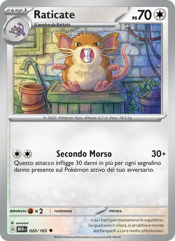 Raticate #020